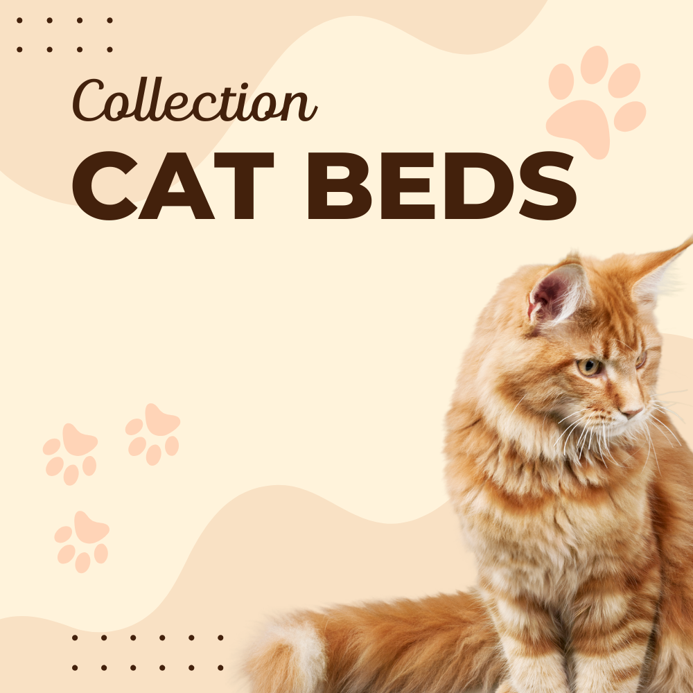 Cat beds
