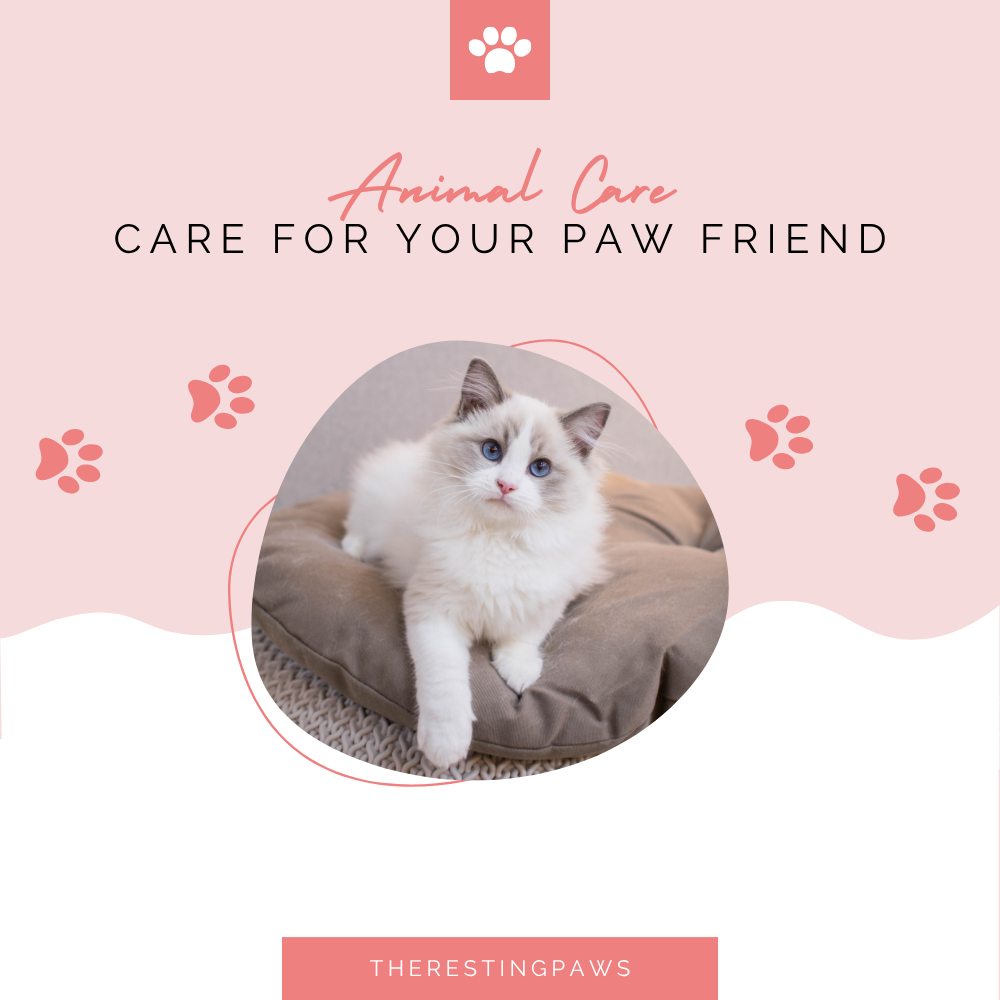Paw Care and Health