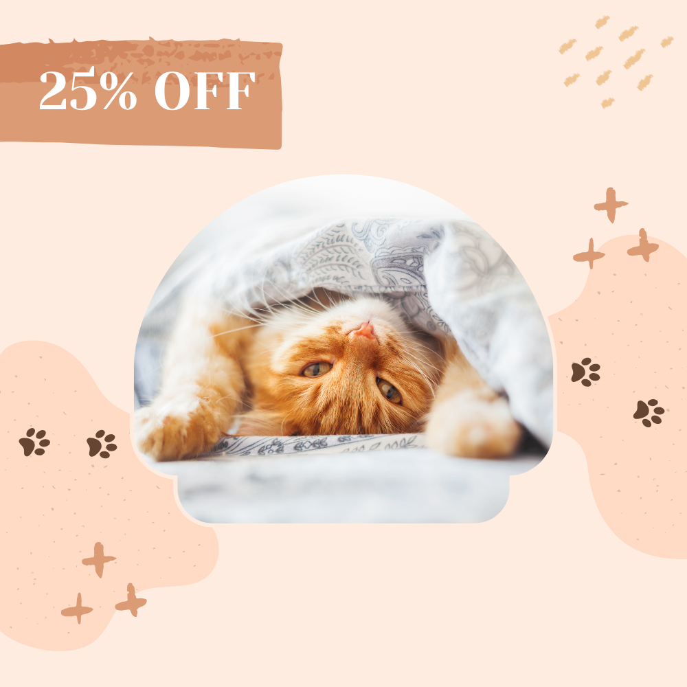 25 procent discount